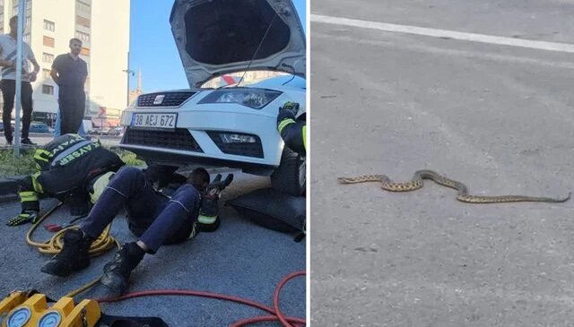 Araçta göründükten sonra kaybolan yılan araç sahibinin evinin önünde ortaya çıktı