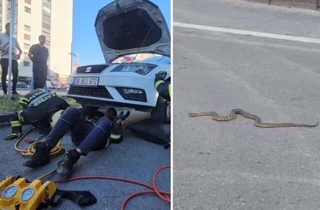 Araçta göründükten sonra kaybolan yılan araç sahibinin evinin önünde ortaya çıktı