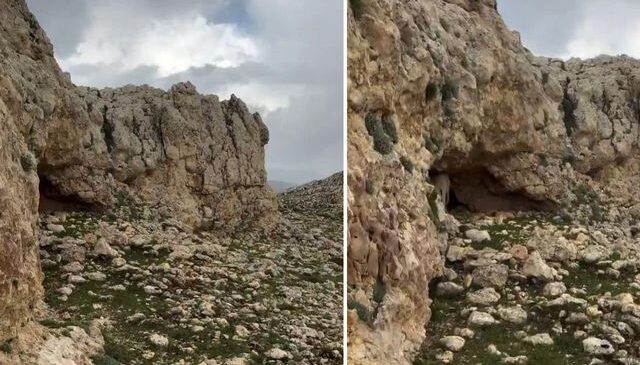 Kayıp keçilerini bulduğu mağarada gördüğüne inanamadı