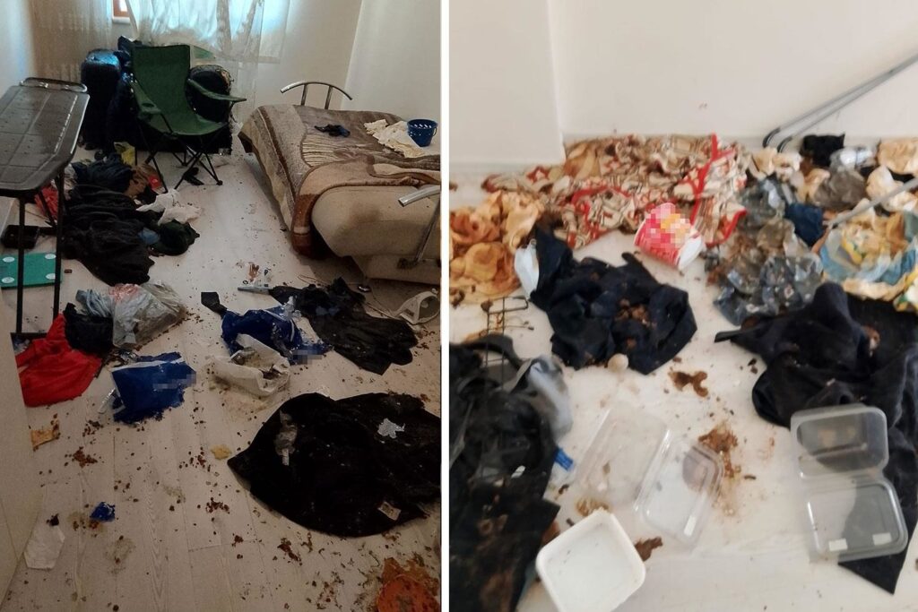 Bolu'da Bakımsız Dairede 6 Kedi Kurtarıldı