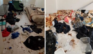 Komşuları başka semtlere kaçırdı! Daireden çıkan manzara şoke etti