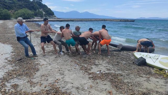 Kuşadası’nda sahile ölü köpek balığı vurdu