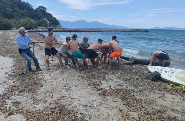 Kuşadası’nda sahile ölü köpek balığı vurdu
