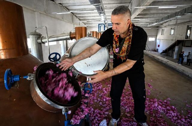 Milyon dolarlık yatırımla yeni sektöre atılan Berdan Mardini de gözaltına alındı