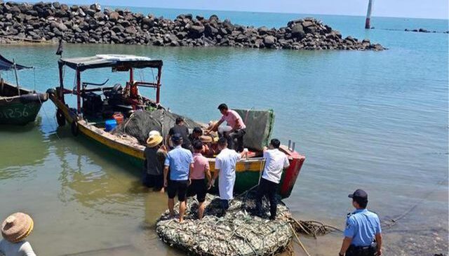 Denizde, aç ve susuz mahsur kaldı, çiğ yengeç yiyerek 7 gün hayatta kaldı