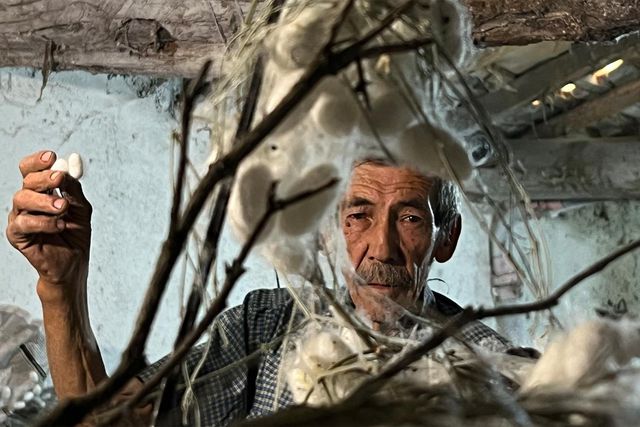 Evinin altında ipek böceği yetiştirerek 40 günde  216  bin TL kazandı