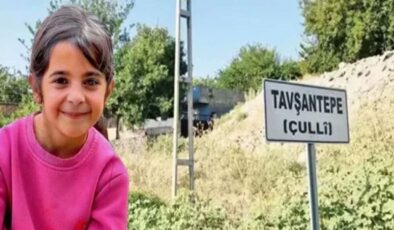 Narin’in köyünde ara seçim: Yeni muhtar belli oldu