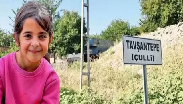 Narin’in köyünde ara seçim: Yeni muhtar belli oldu