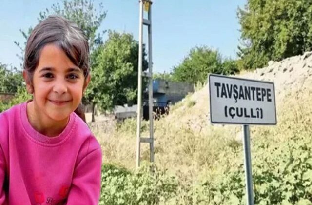 Narin’in köyünde ara seçim: Yeni muhtar belli oldu