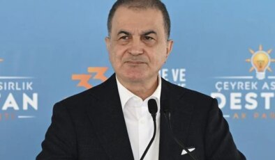 Çelik: Terör örgütünün silah bırakması için yasal zemin oluşmalı