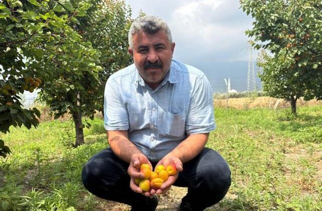 Mühendis tavsiyesiyle başladı, şimdi paraya para demiyor: Yurt dışından büyük talep var