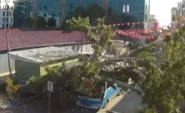 Osmaniye’de çınar ağacı, halk otobüsünün üzerine düştü: Saniyelerle kurtuldu