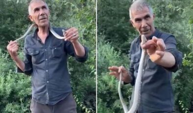 Resmen ölümle dans etti! Zehirli engerek yılanını boynuna doladı
