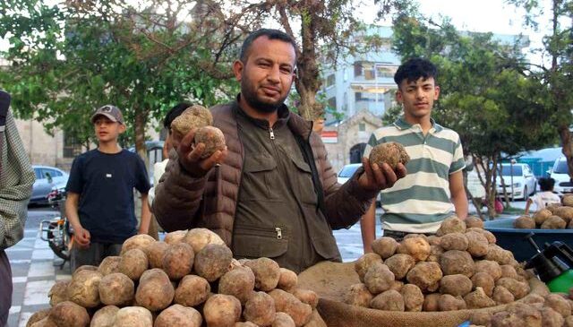 Görüntüsü patates gibi olsa da lezzeti çok başka: Kilosu 2 bin TL’den kapış kapış gidiyor