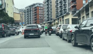 Seyrantepe’de motosiklete bağladığı köpeği metrelerce koşturdu: 8 bin 678 lira ceza kesildi