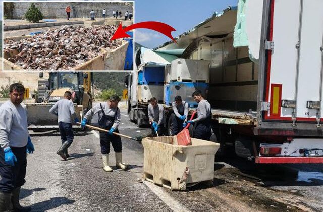Seyir halindeki tırın dorsesi patladı, 15 ton balık atığı yola saçıldı