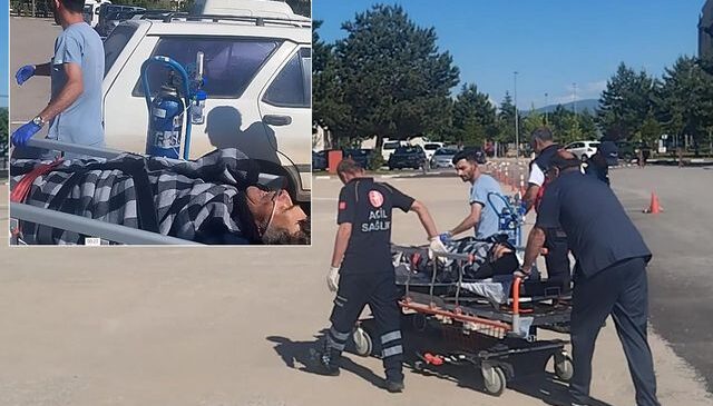 Kangal köpekleri çobanın hayatını kurtardı