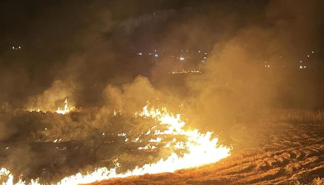 Şanlıurfa’da 42 futbol sahası büyüklüğündeki alanı yakan şüpheli gözaltında