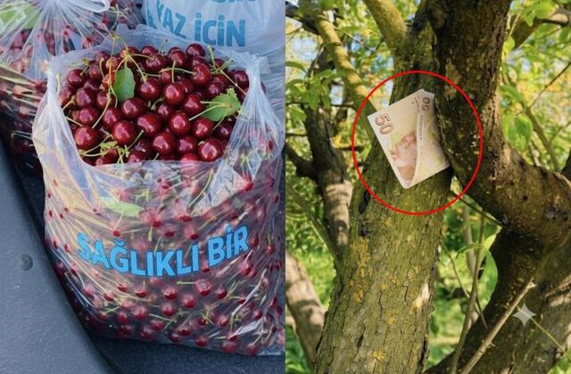 Tartışma yaratan fotoğrafla ilgili gerçek ortaya çıktı