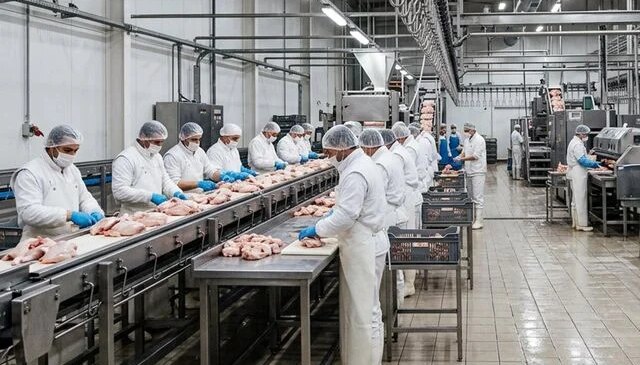 Tavuk firmalarına denetim kayyumu atanmasıyla ilgili başsavcılıktan açıklama