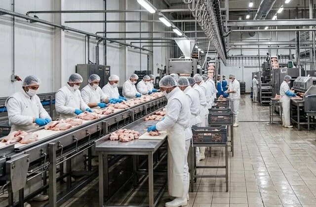 Tavuk firmalarına denetim kayyumu atanmasıyla ilgili başsavcılıktan açıklama