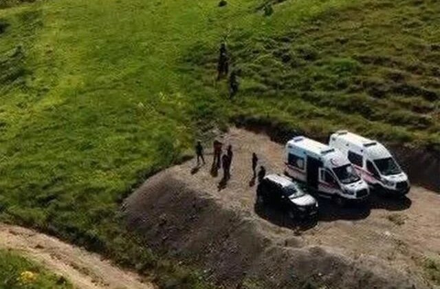 Tunceli’de mantar toplamaya giden 3 kişiye ayı saldırdı
