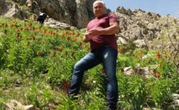 Mantar toplamak için çıktığı dağda ölü bulundu