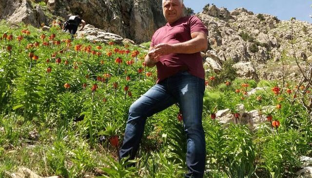 Mantar toplamak için çıktığı dağda ölü bulundu