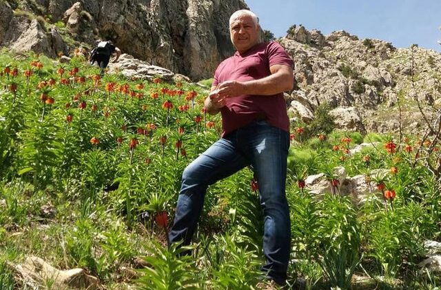Mantar toplamak için çıktığı dağda ölü bulundu