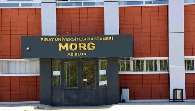 Tunceli’de üzerine beton blok düşen işçi hayatını kaybetti