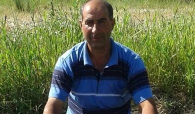 Van’da otomobilin çarptığı baba hayatını kaybetti, oğlu yaralandı