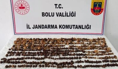 Doğada bulup topladılar! Yakalanınca 2 milyon TL ceza yediler