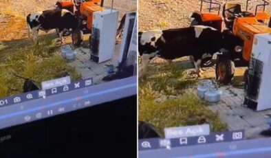 Yer: Konya! Görüntüsü olmasa kimsenin inanmayacağı bir olay daha