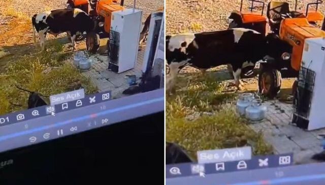 Yer: Konya! Görüntüsü olmasa kimsenin inanmayacağı bir olay daha