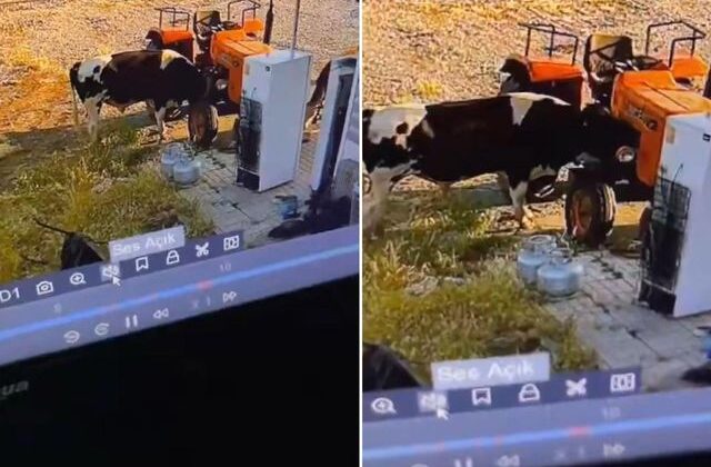Yer: Konya! Görüntüsü olmasa kimsenin inanmayacağı bir olay daha