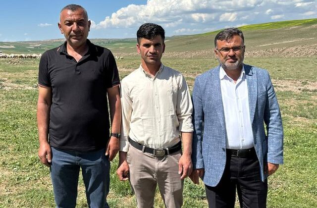 Yerliden umudu kesen besiciler çoban krizine “İthal” çözüm buldu