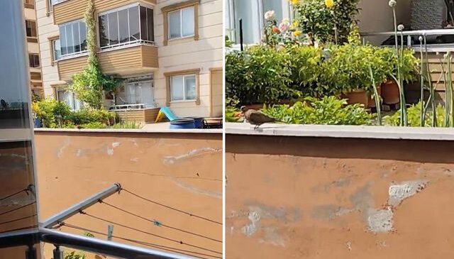 “Yok artık” diyeceksiniz! İki kez evlenip boşandı, nedenini bakın neye bağladı