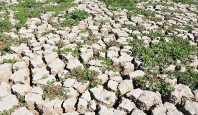 4 yıl önce kuruyan Marmara Gölü’nün son hali mest etti