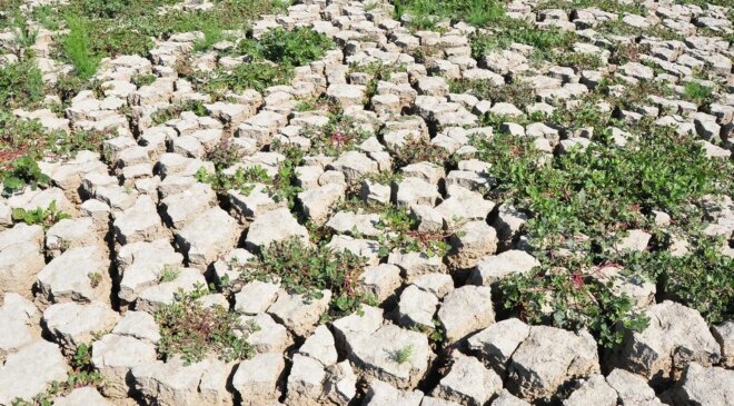 4 yıl önce kuruyan Marmara Gölü’nün son hali mest etti