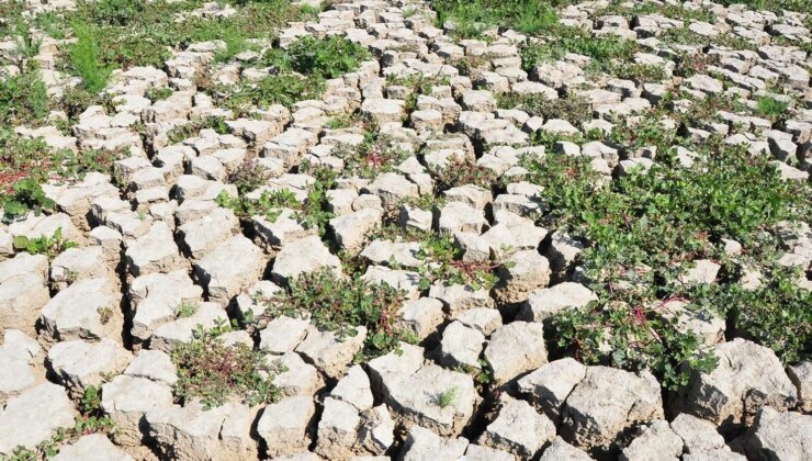 4 yıl önce kuruyan Marmara Gölü’nün son hali mest etti