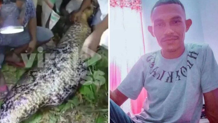 7 metrelik dev Piton, 35 yaşındaki adamı bütün halde yuttu