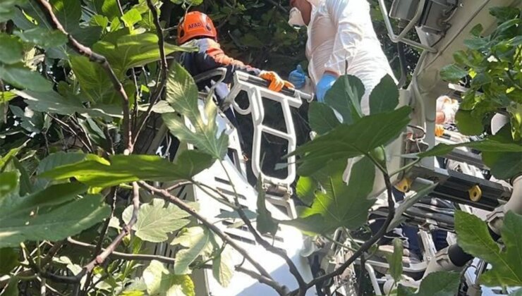 Hatay’da ağaca asılı halde cesedi bulunan şahsın kimliği belirlendi
