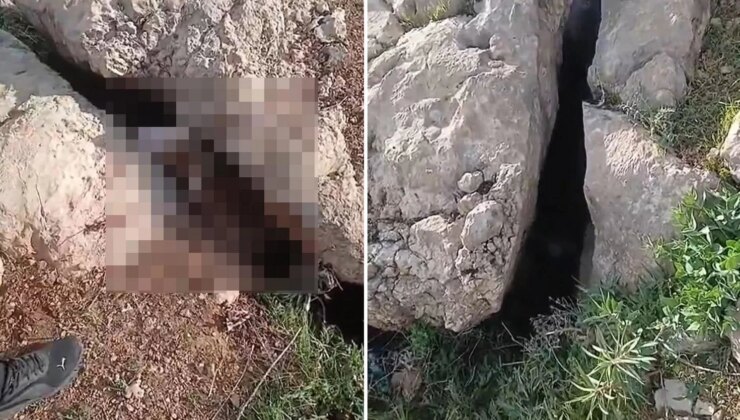 Altın ararken karşılaştıkları manzara karşısında donup kaldılar