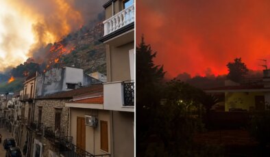 Avrupa alev alev: Kundakçılar İtalya’da kedileri canlı meşale yaptı