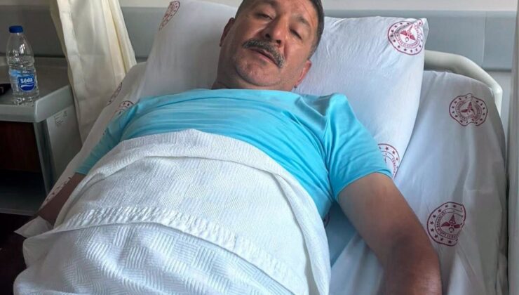 Yılan, bahçeye inen adamın ayağına saldırdı