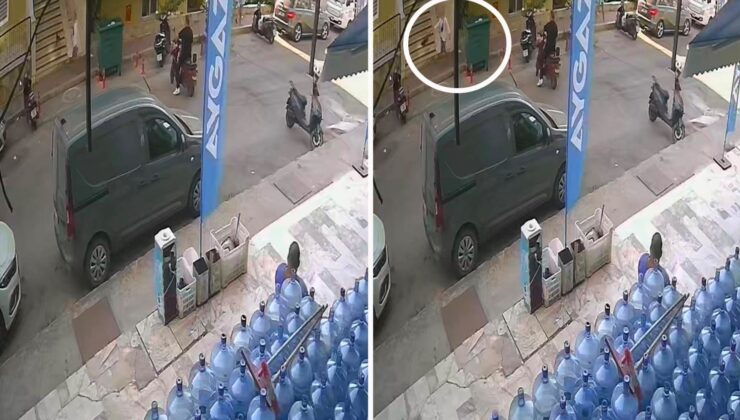 Kediyi yerden alıp fırlattı, görüntülere tepki yağdı