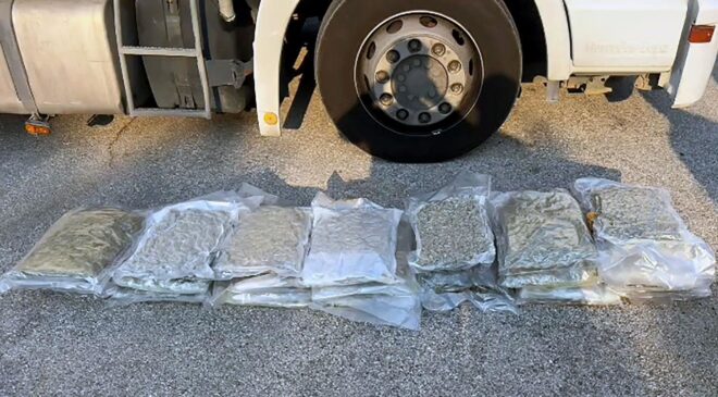 Tırda 24 kilo skunk ele geçirildi: Sürücüden “İçmek için almıştım” savunması