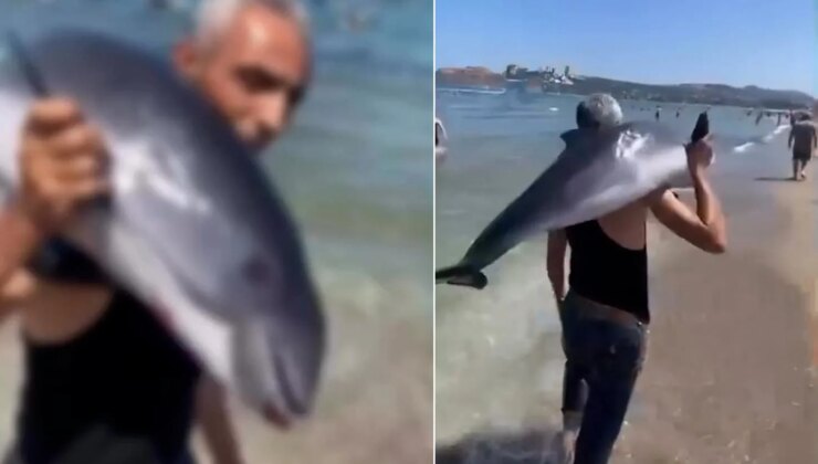 Bursa’dan akılalmaz görüntü! Yunusu sırtlayıp gözden kayboldu