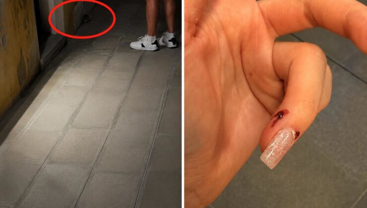 Venedik’te İtalyan adamın fırlattığı fare, Rus turisti ısırdı