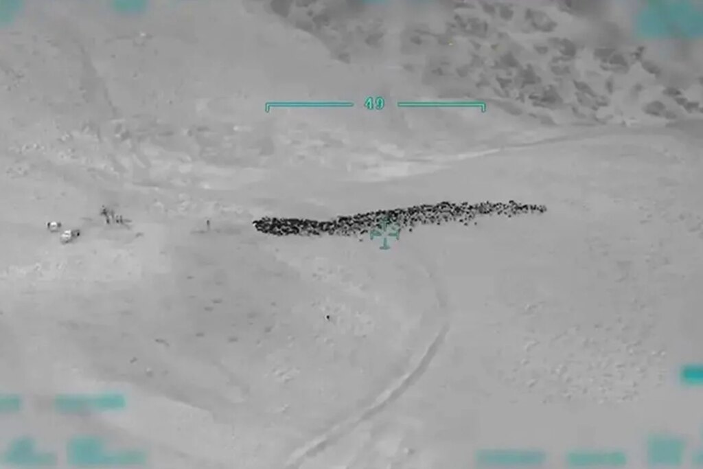 Van'da silahlı gasp: 800 küçükbaş hayvan çalındı, 4 şüpheli gözaltında
